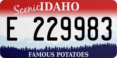 ID license plate E229983