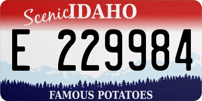 ID license plate E229984