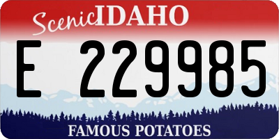 ID license plate E229985