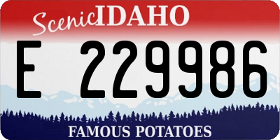 ID license plate E229986