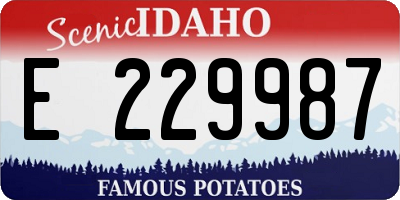 ID license plate E229987
