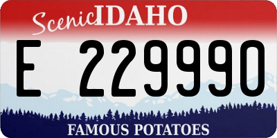 ID license plate E229990