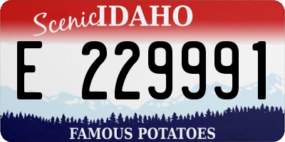 ID license plate E229991