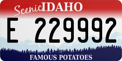 ID license plate E229992