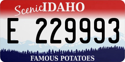 ID license plate E229993