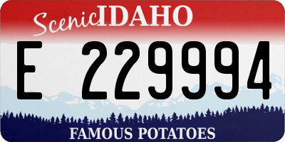 ID license plate E229994