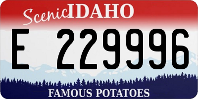 ID license plate E229996