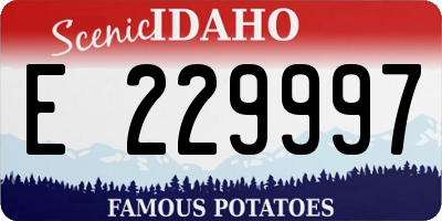 ID license plate E229997