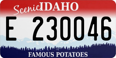 ID license plate E230046