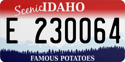 ID license plate E230064