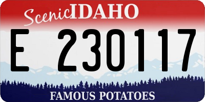 ID license plate E230117