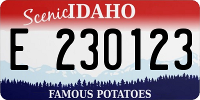 ID license plate E230123