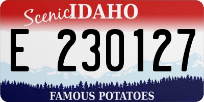ID license plate E230127