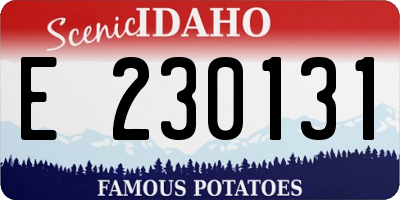 ID license plate E230131