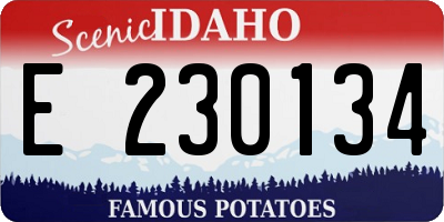 ID license plate E230134