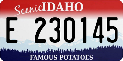 ID license plate E230145