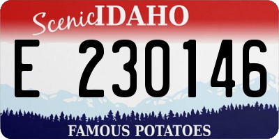 ID license plate E230146