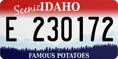 ID license plate E230172