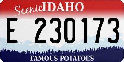 ID license plate E230173