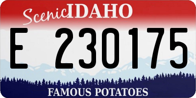 ID license plate E230175