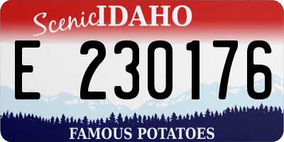 ID license plate E230176