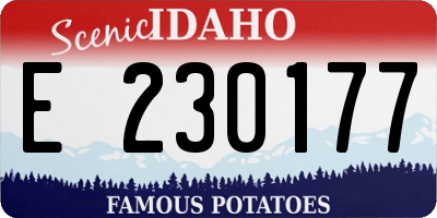 ID license plate E230177