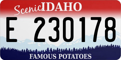ID license plate E230178