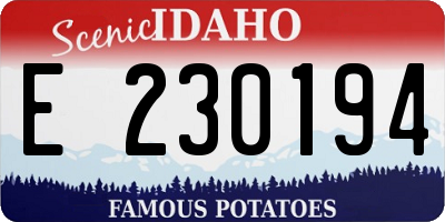 ID license plate E230194