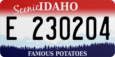 ID license plate E230204