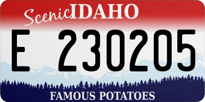 ID license plate E230205
