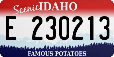 ID license plate E230213