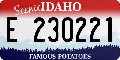 ID license plate E230221