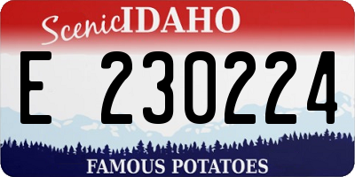 ID license plate E230224
