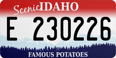 ID license plate E230226