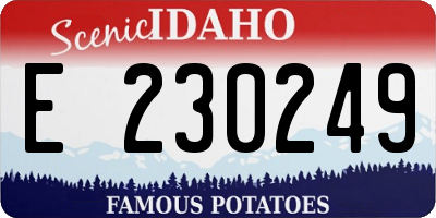 ID license plate E230249