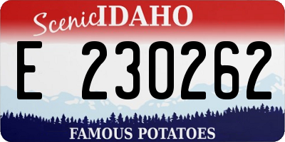 ID license plate E230262
