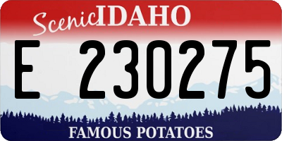 ID license plate E230275