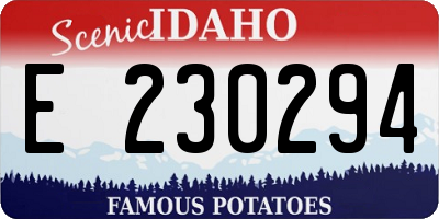 ID license plate E230294