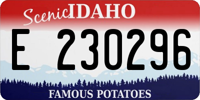 ID license plate E230296
