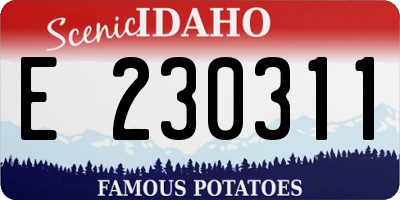 ID license plate E230311