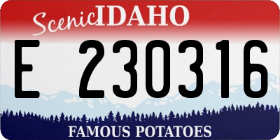 ID license plate E230316