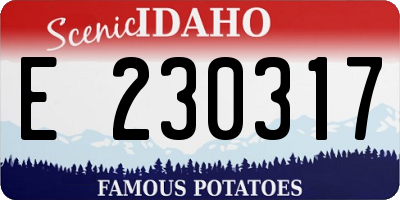 ID license plate E230317