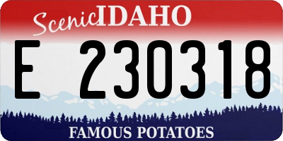 ID license plate E230318