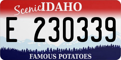 ID license plate E230339