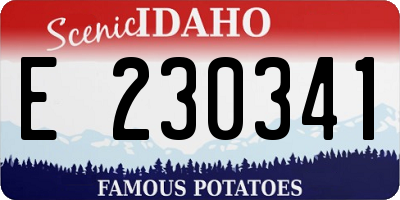 ID license plate E230341