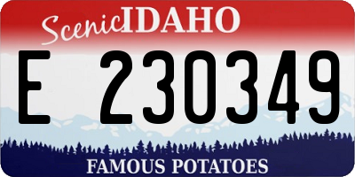 ID license plate E230349