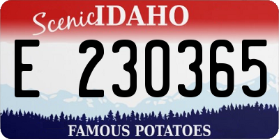 ID license plate E230365