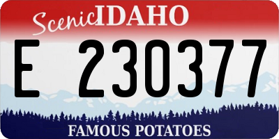 ID license plate E230377