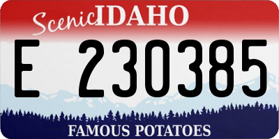 ID license plate E230385