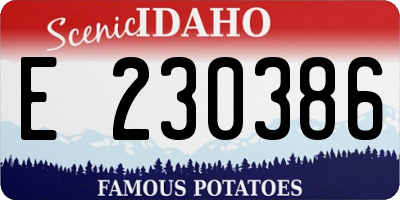 ID license plate E230386
